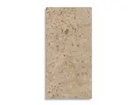 vloertegel Bruin 60 x 120 | 159-272 | Jan Groen Tegels