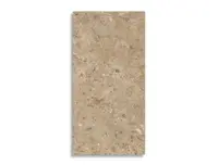vloertegel Bruin 60 x 120 | 159-272 | Jan Groen Tegels