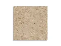 vloertegel Bruin 80 x 80 | 665-056 | Jan Groen Tegels