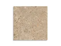 vloertegel Bruin 80 x 80 | 665-056 | Jan Groen Tegels