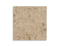 vloertegel Bruin 80 x 80 | 665-056 | Jan Groen Tegels