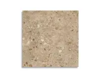 vloertegel Bruin 80 x 80 | 665-056 | Jan Groen Tegels