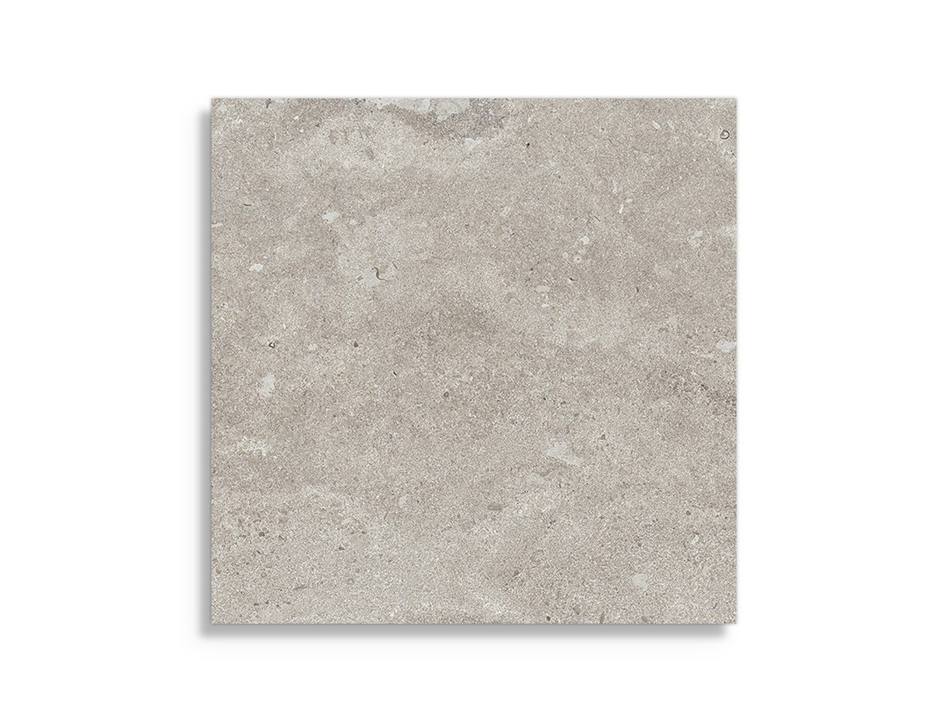 Vloertegels vtwonen Portland Gris Mat 60 x 60