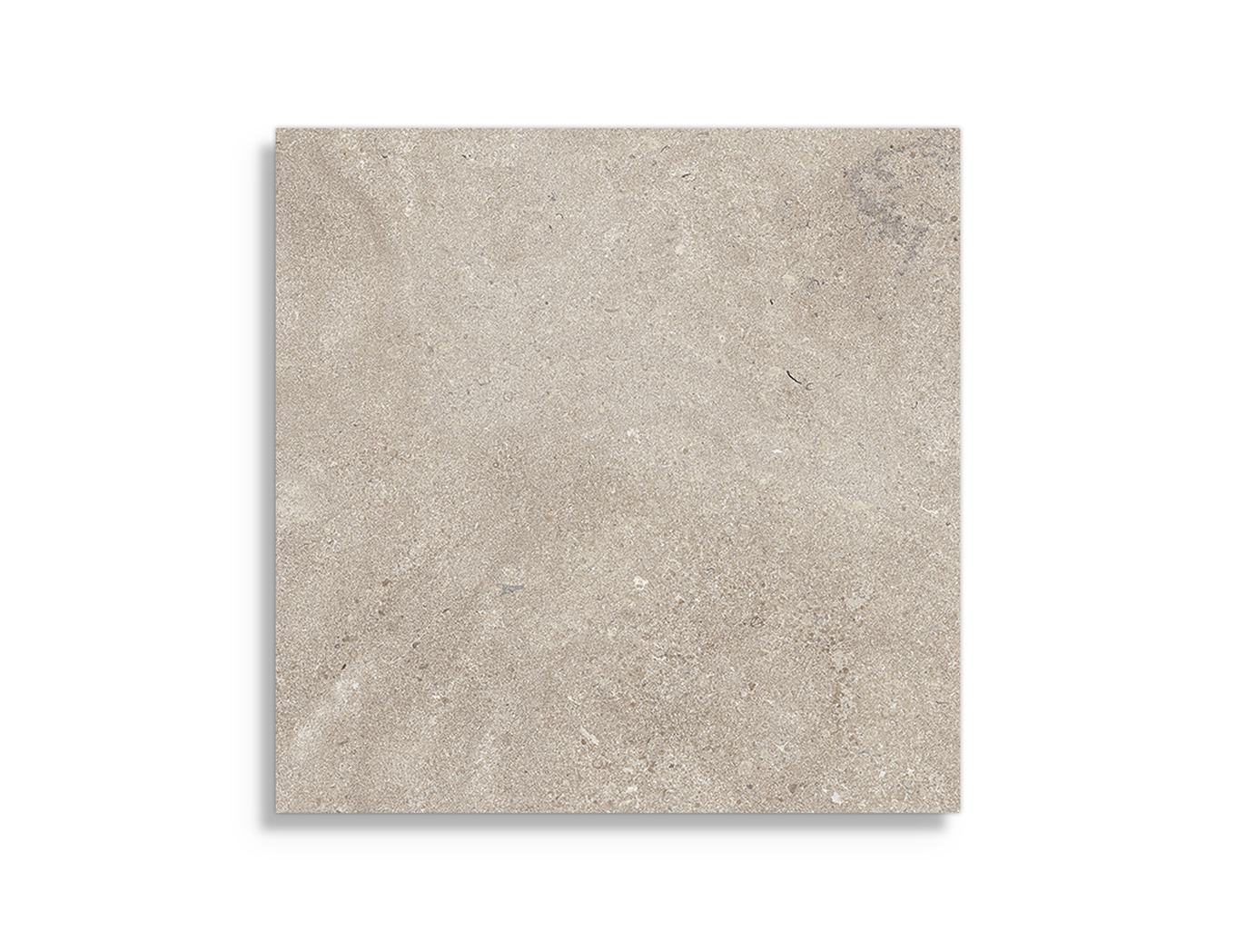 Vloertegels vtwonen Portland Taupe Mat 60 x 60