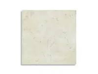 vloertegel Wit 10 x 10 | 769-344 | Jan Groen Tegels