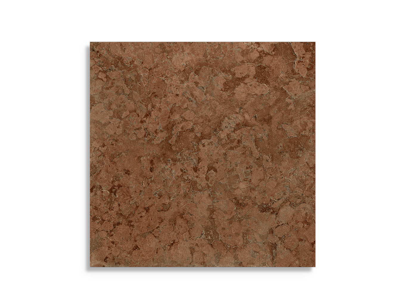 vloertegel Bruin 30 x 30