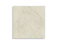 vloertegel Beige 30 x 30 | 899-520 | Jan Groen Tegels