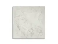 vloertegel Wit 60 x 60 | 975-018 | Jan Groen Tegels