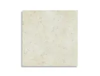 vloertegel Wit 60 x 60 | 679-195 | Jan Groen Tegels