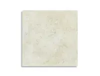 vloertegel Wit 60 x 60 | 679-195 | Jan Groen Tegels