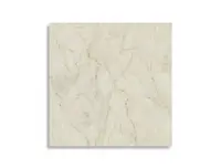 vloertegel Beige 60 x 60 | 912-434 | Jan Groen Tegels