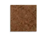 vloertegel Bruin 60 x 60 | 976-932 | Jan Groen Tegels