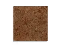 vloertegel Bruin 60 x 60 | 976-932 | Jan Groen Tegels