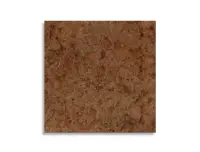 vloertegel Bruin 60 x 60 | 976-932 | Jan Groen Tegels