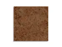 vloertegel Bruin 60 x 60 | 976-932 | Jan Groen Tegels