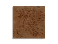 vloertegel Bruin 60 x 60 | 976-932 | Jan Groen Tegels