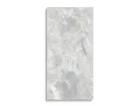 vloertegel Wit 59.6 x 120 | 810-312 | Jan Groen Tegels