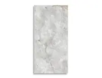 vloertegel Wit 59.6 x 120 | 810-312 | Jan Groen Tegels