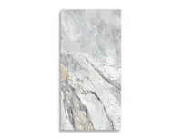 vloertegel Wit 59.6 x 120 | 810-312 | Jan Groen Tegels