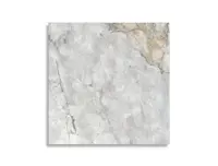 vloertegel Wit 120 x 120 | 286-738 | Jan Groen Tegels