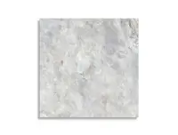 vloertegel Wit 120 x 120 | 500-958 | Jan Groen Tegels