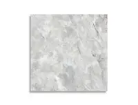 vloertegel Wit 120 x 120 | 500-958 | Jan Groen Tegels