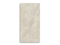 vloertegel STN Miller Beige 59.5 x 120 | 459-742 | Jan Groen Tegels