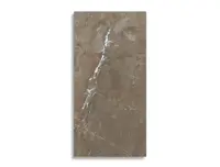 vloertegel STN Miller Natural 59.5 x 120 | 515-708 | Jan Groen Tegels