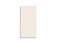 vloertegel Beige 30 x 60 | 284-667 | Jan Groen Tegels
