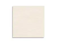 vloertegel Beige 120 x 120 | 939-550 | Jan Groen Tegels