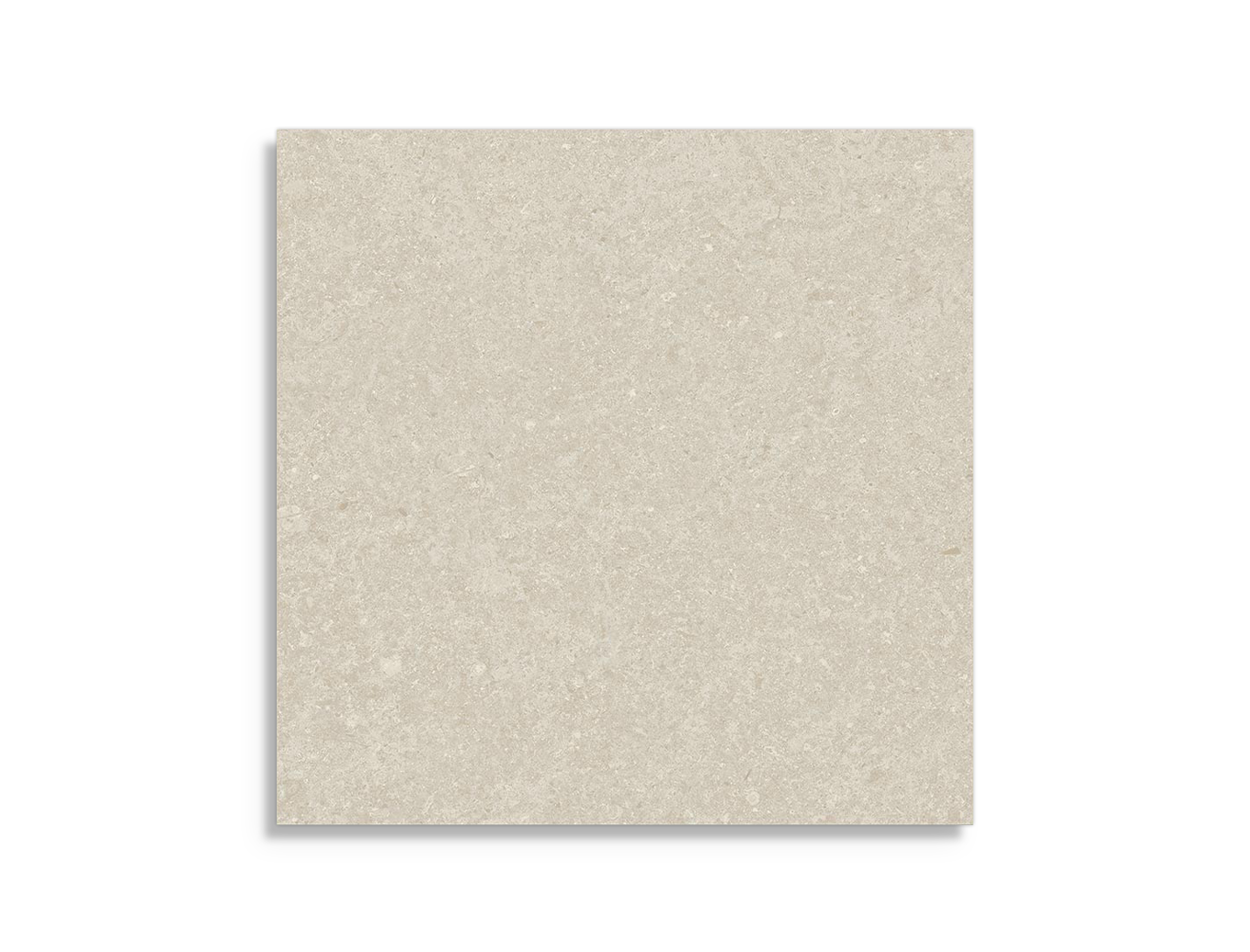 vloertegel Arcana Cupola Bone 80 x 80