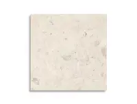 vloertegel Geotiles Stratos Brecci Bone 60 x 60 | 209-389 | Jan Groen Tegels