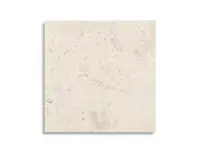 vloertegel Geotiles Stratos Brecci Bone 60 x 60 | 209-389 | Jan Groen Tegels