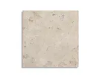 vloertegel Geotiles Stratos Brecci Mud 60 x 60 | 252-331 | Jan Groen Tegels