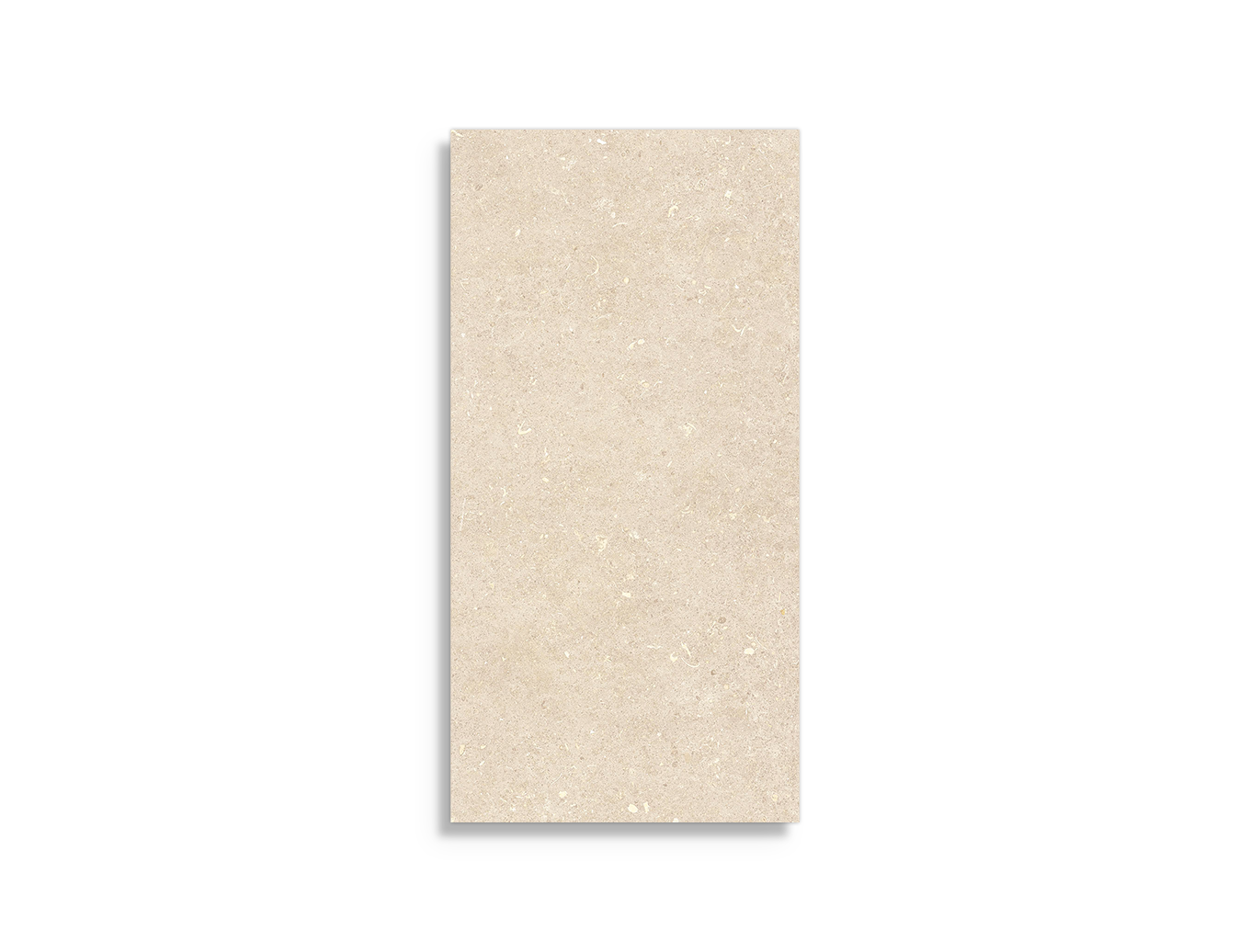 vloertegel Geotiles Vincen Bone 30 x 60