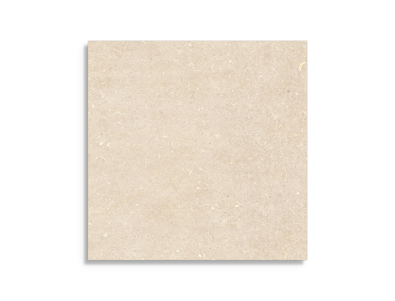 Vloertegel Geotiles Vincen Bone 60 x 60