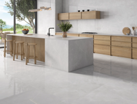 vloertegel Geotiles Gemma White 60 x 120 | 620-441 | Jan Groen Tegels