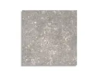 vloertegel Pamesa Dover Gris 60 x 60 | 733-683 | Jan Groen Tegels