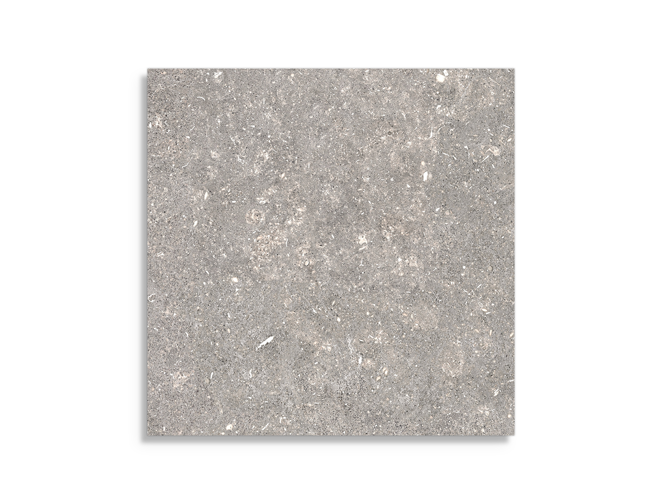 vloertegel Pamesa Dover Gris 60 x 60