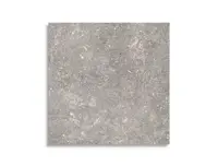 vloertegel Pamesa Dover Gris 60 x 60 | 733-683 | Jan Groen Tegels