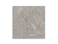 vloertegel Pamesa Dover Gris 60 x 60 | 733-683 | Jan Groen Tegels