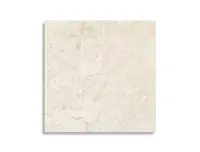 vloertegel Pamesa Alba Stone Ivory 60 x 60 | 044-103 | Jan Groen Tegels