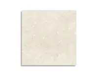 vloertegel Pamesa Alba Stone Ivory 60 x 60 | 044-103 | Jan Groen Tegels