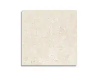 vloertegel Pamesa Alba Stone Ivory 60 x 60 | 044-103 | Jan Groen Tegels