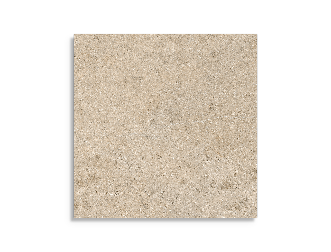 vloertegel Pamesa Alba Stone Greige 60 x 60