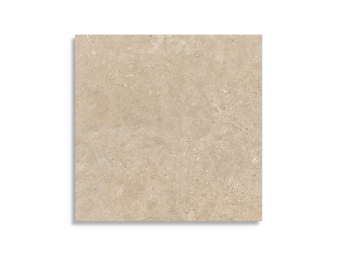 vloertegel Pamesa Alba Stone Greige 100 x 100