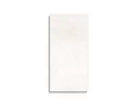 vloertegel Pamesa Core Pro White 30 x 60 | 909-168 | Jan Groen Tegels