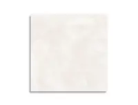 vloertegel Pamesa Core Pro White 60 x 60 | 191-452 | Jan Groen Tegels