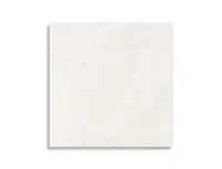 vloertegel Pamesa Core Mix White 60 x 60 | 817-459 | Jan Groen Tegels