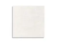 vloertegel Pamesa Core Mix White 60 x 60 | 817-459 | Jan Groen Tegels
